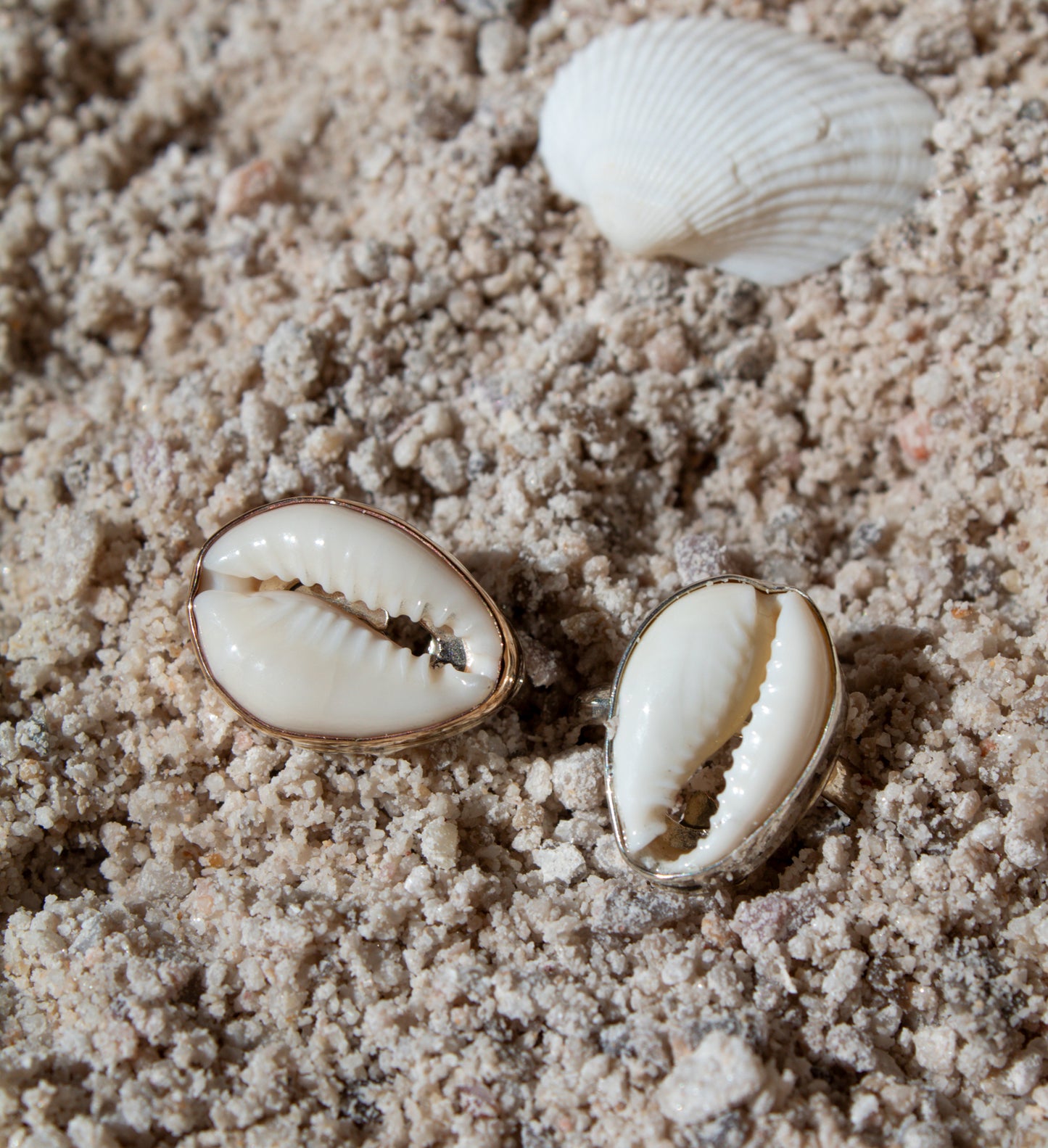 Cowrie Shell Beach Rings