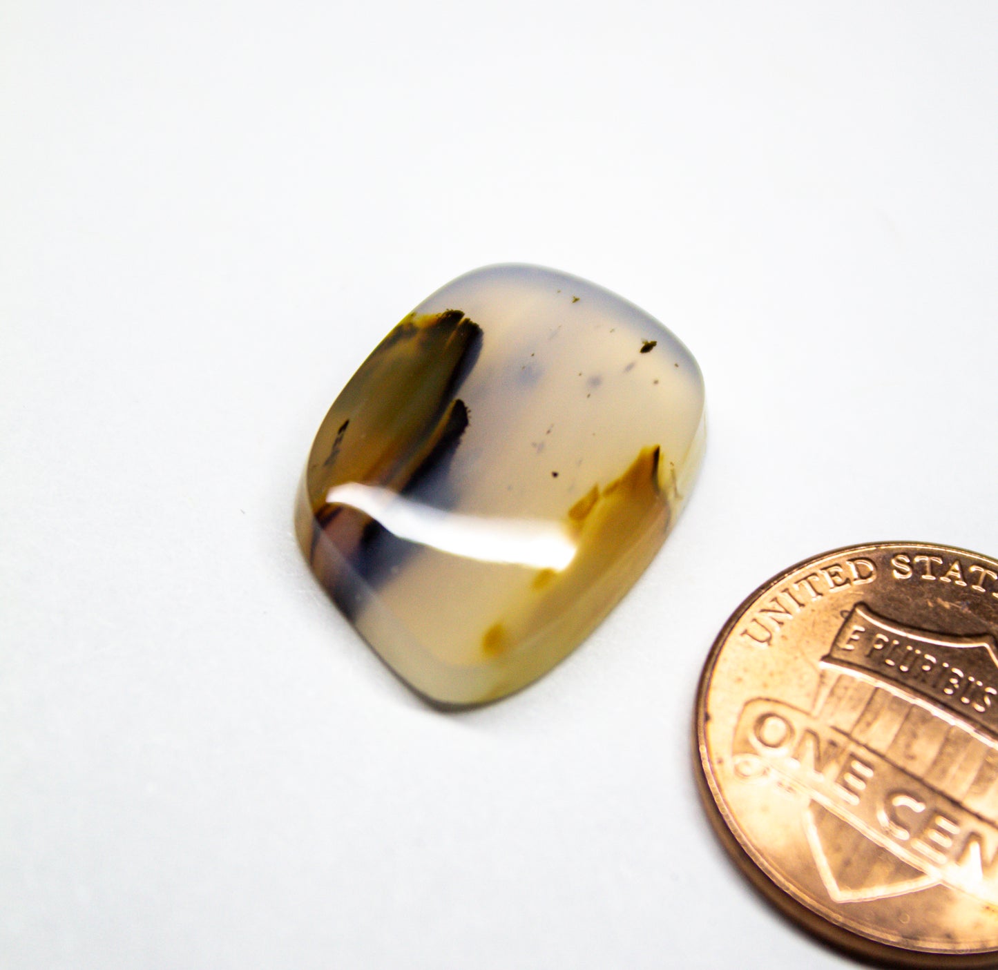Montana Agate Cabochon