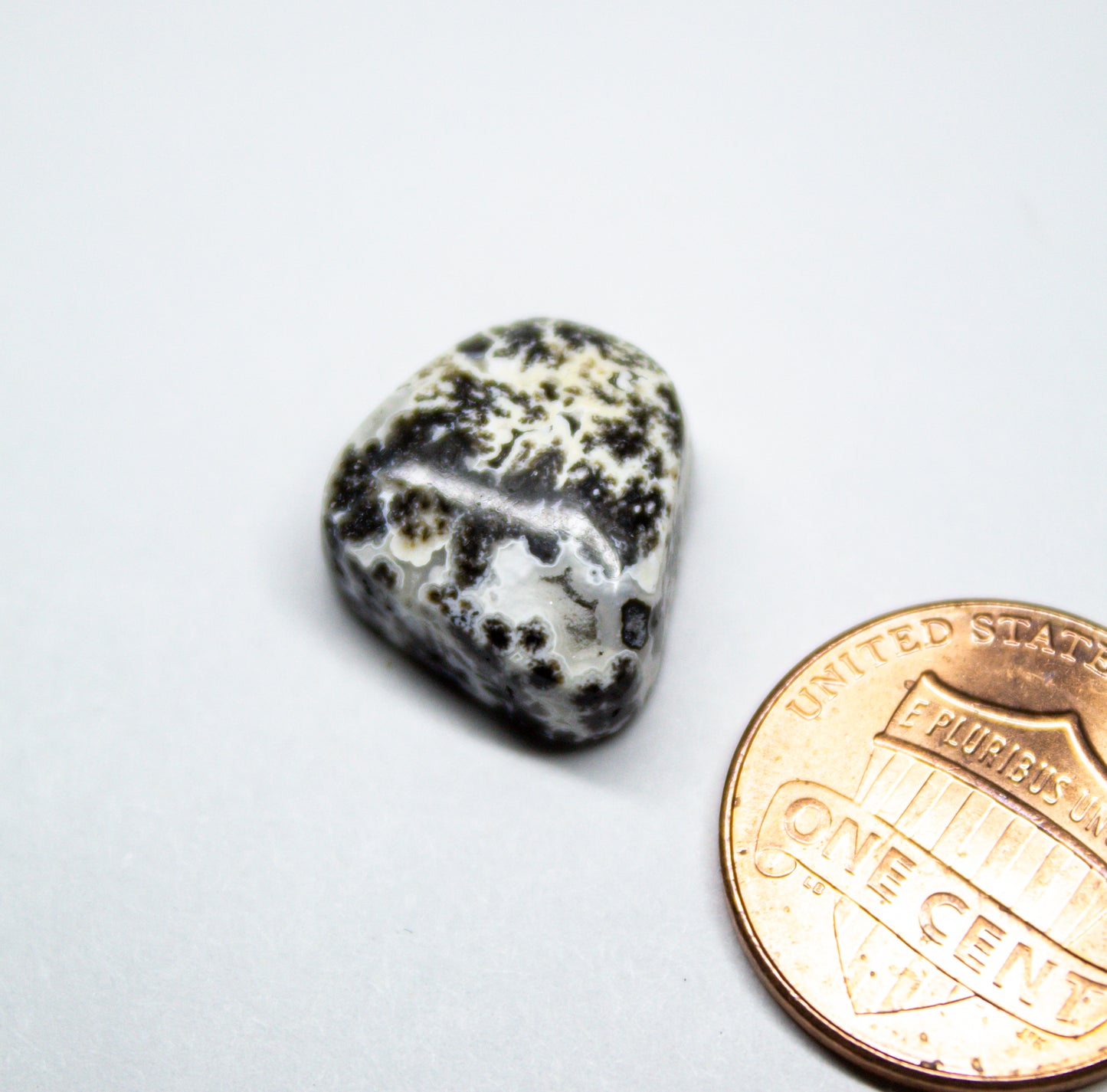 Black Dendritic Agate with Geode Pocket