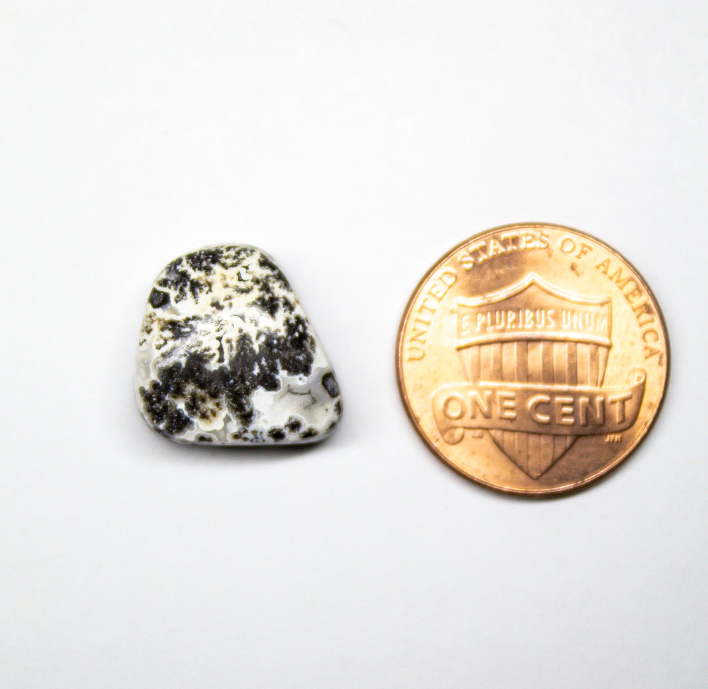 Black Dendritic Agate with Geode Pocket