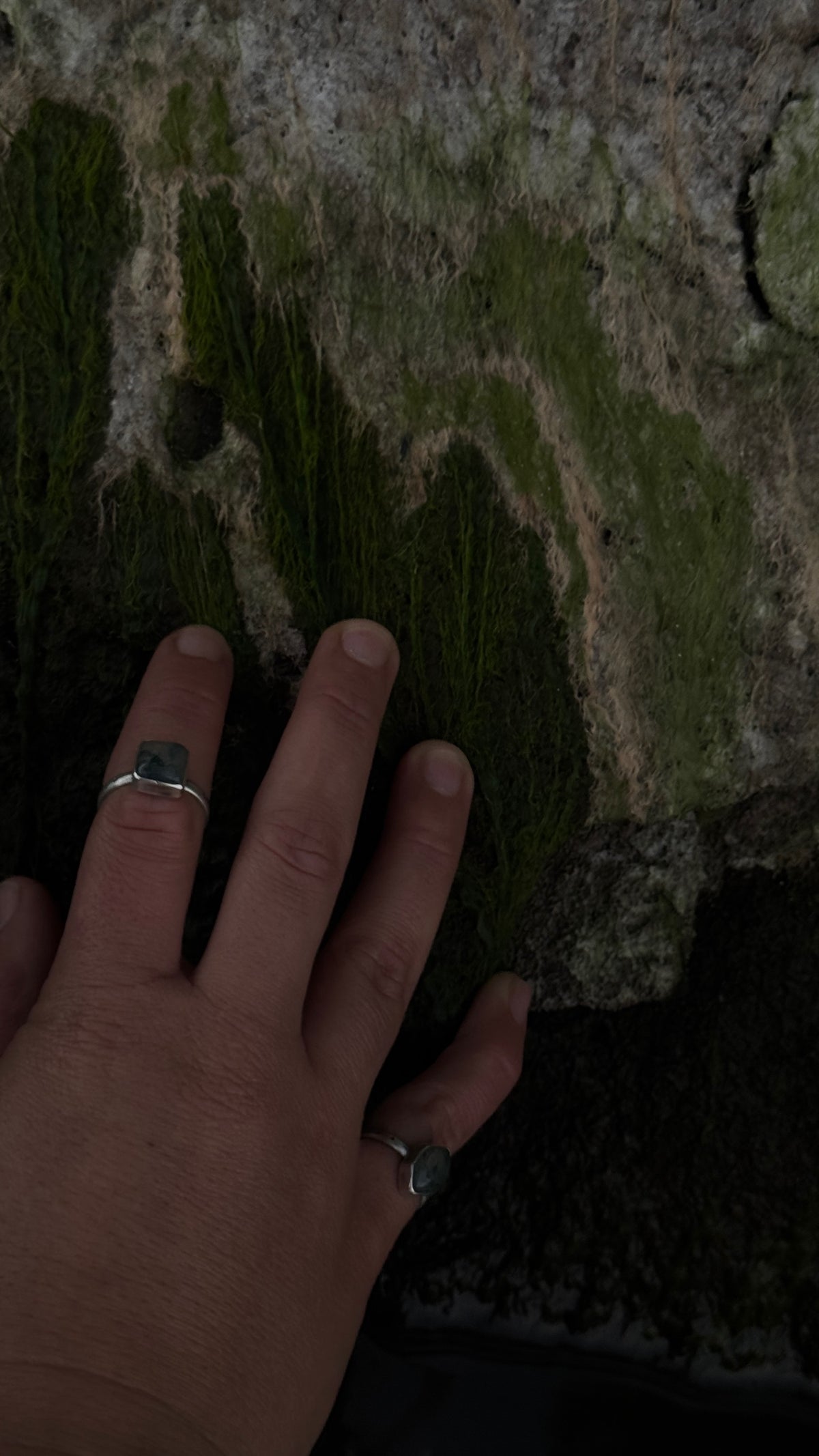 Moss Agate Lake Relic Rings
