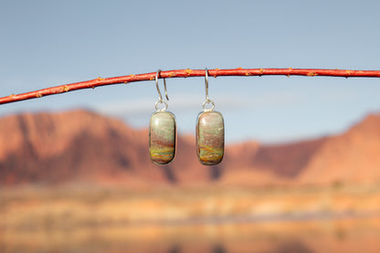 Crayola Jasper Earrings