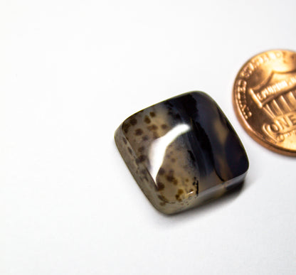 Montana Agate Cabochon