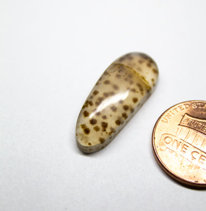 Speckled Montana Agate Cabochon