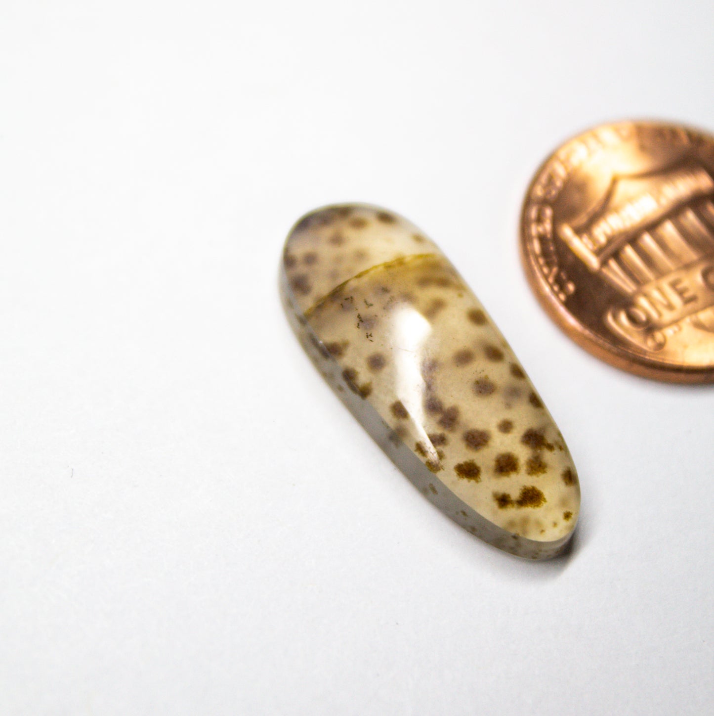 Speckled Montana Agate Cabochon