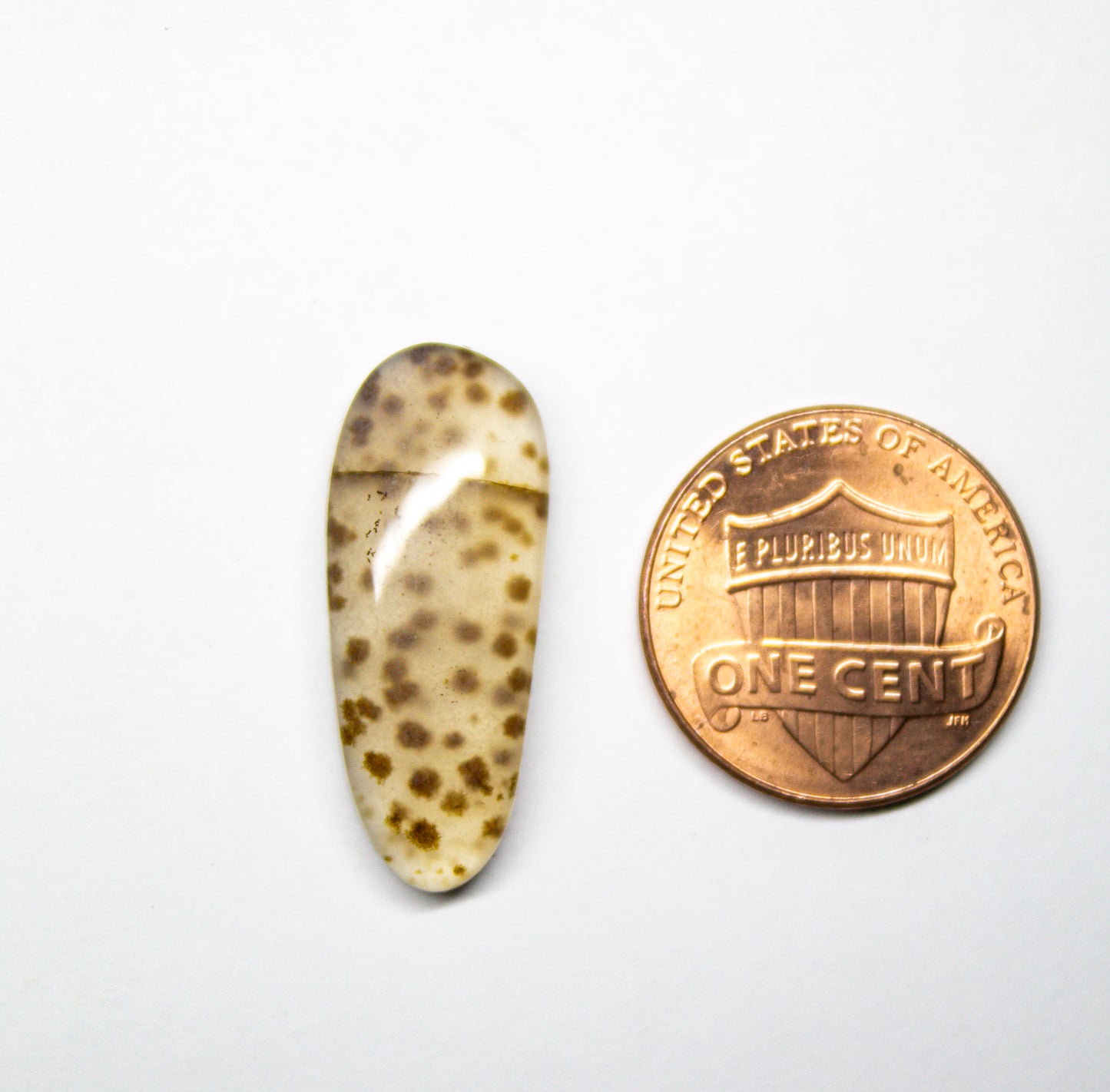 Speckled Montana Agate Cabochon