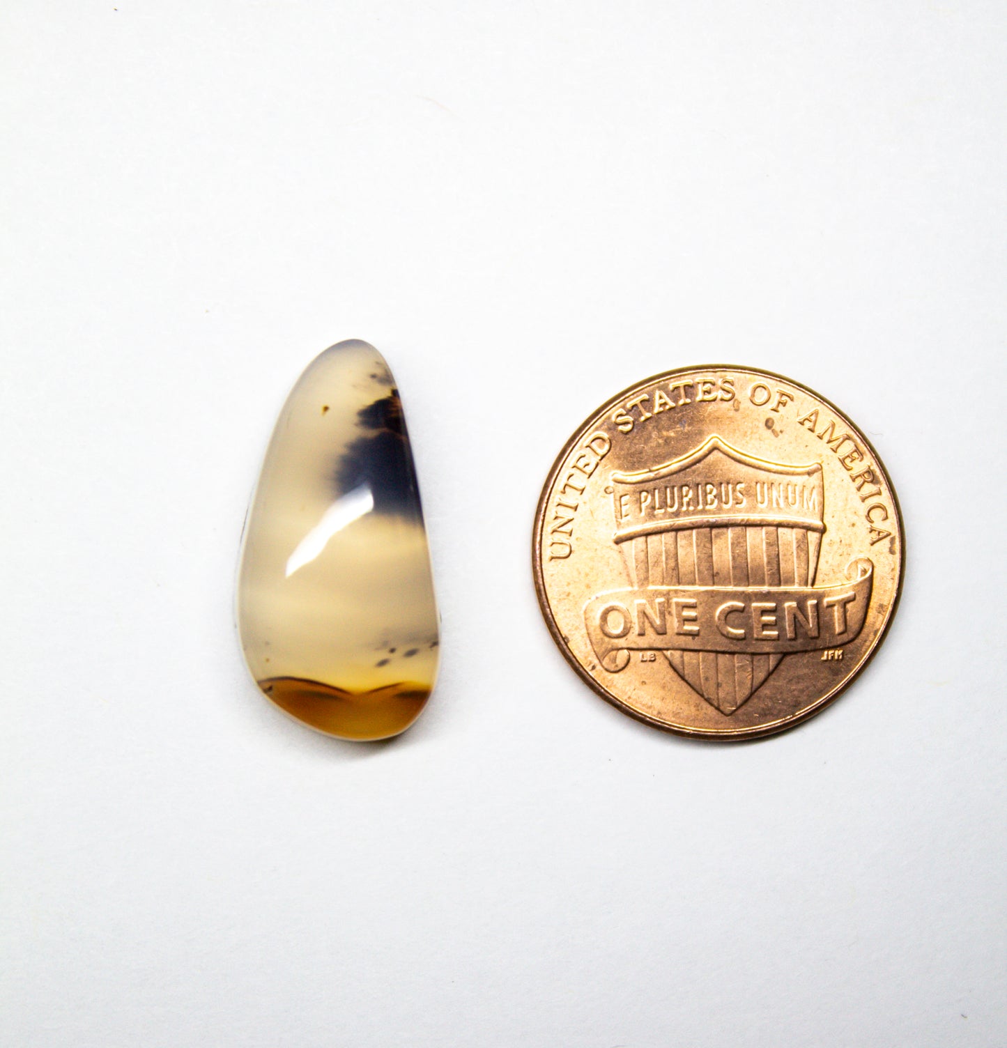 Montana Agate Cabochon