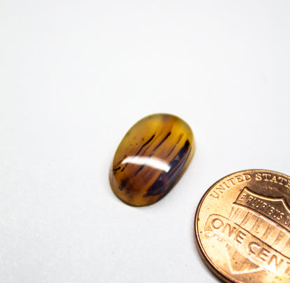 Montana Agate Cabochon