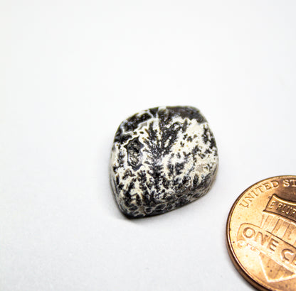 Black Dendritic Agate Cabochon