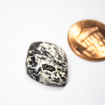 Black Dendritic Agate Cabochon