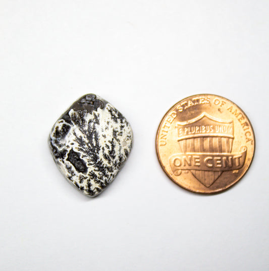 Black Dendritic Agate Cabochon