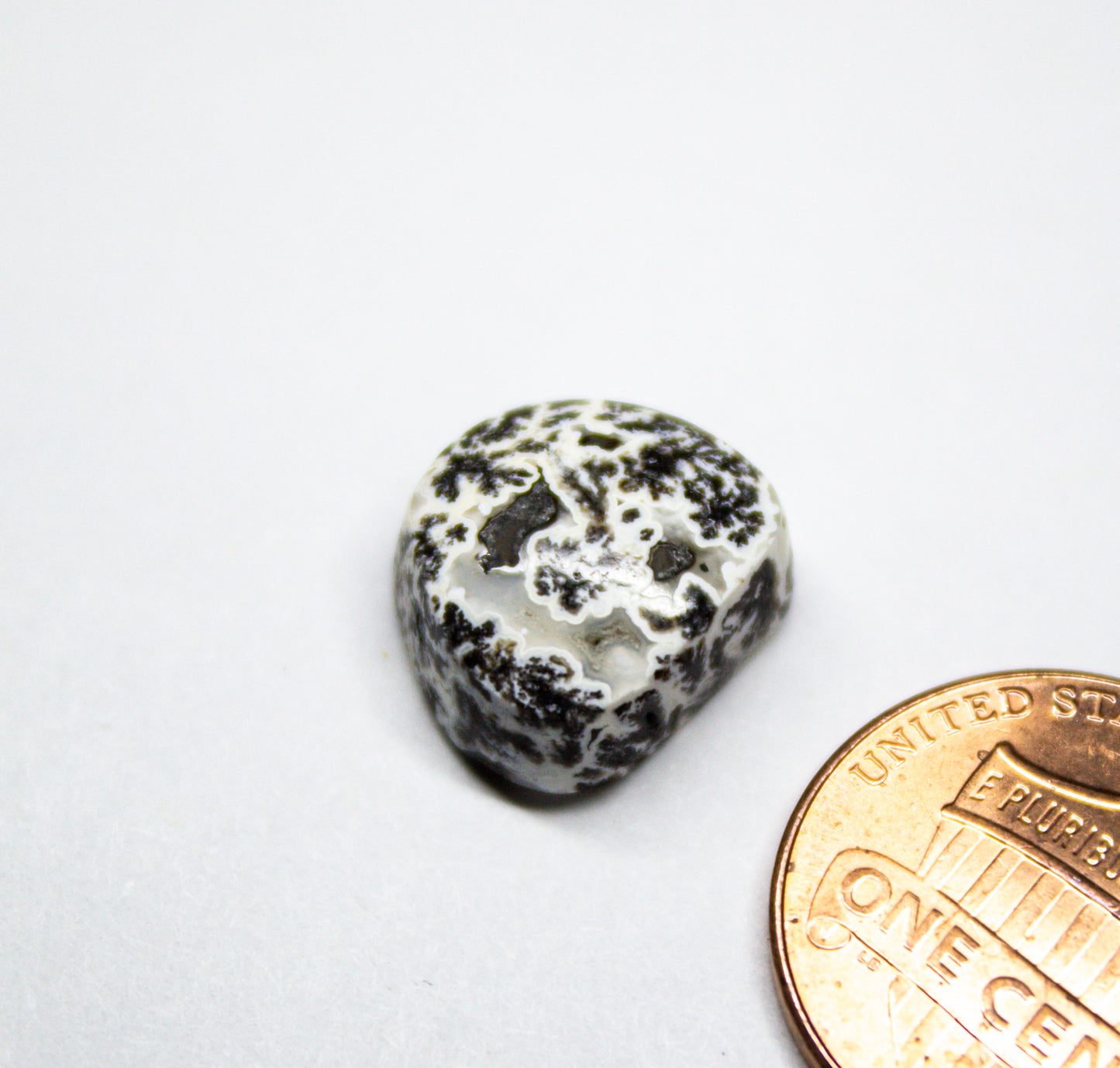 Moon-Shaped Black Dendritic Agate with Geode