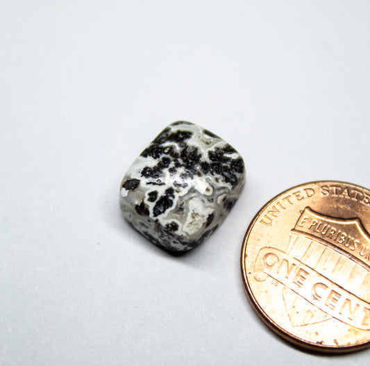 Black and White Dendritic Agate Cabochon