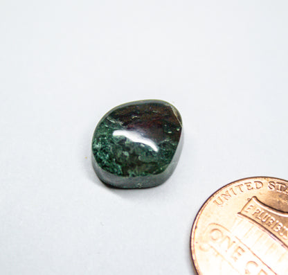 Holt Canyon UT Moss Agate