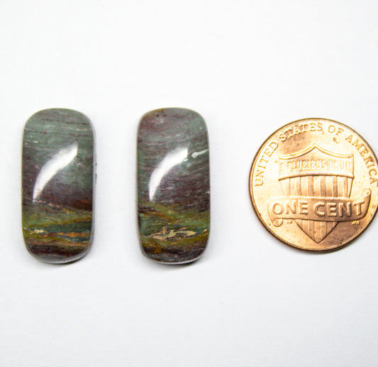 Crayola Jasper Cabochon Pair