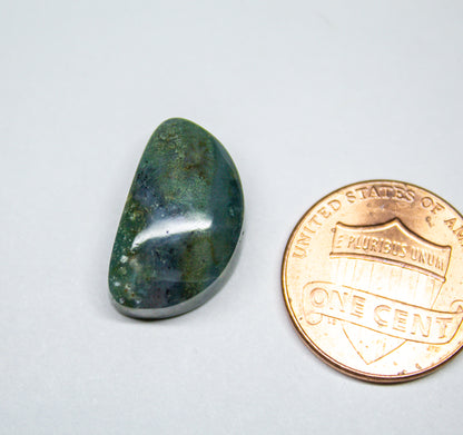 Blue Green Moss Agate Moon Cabochon