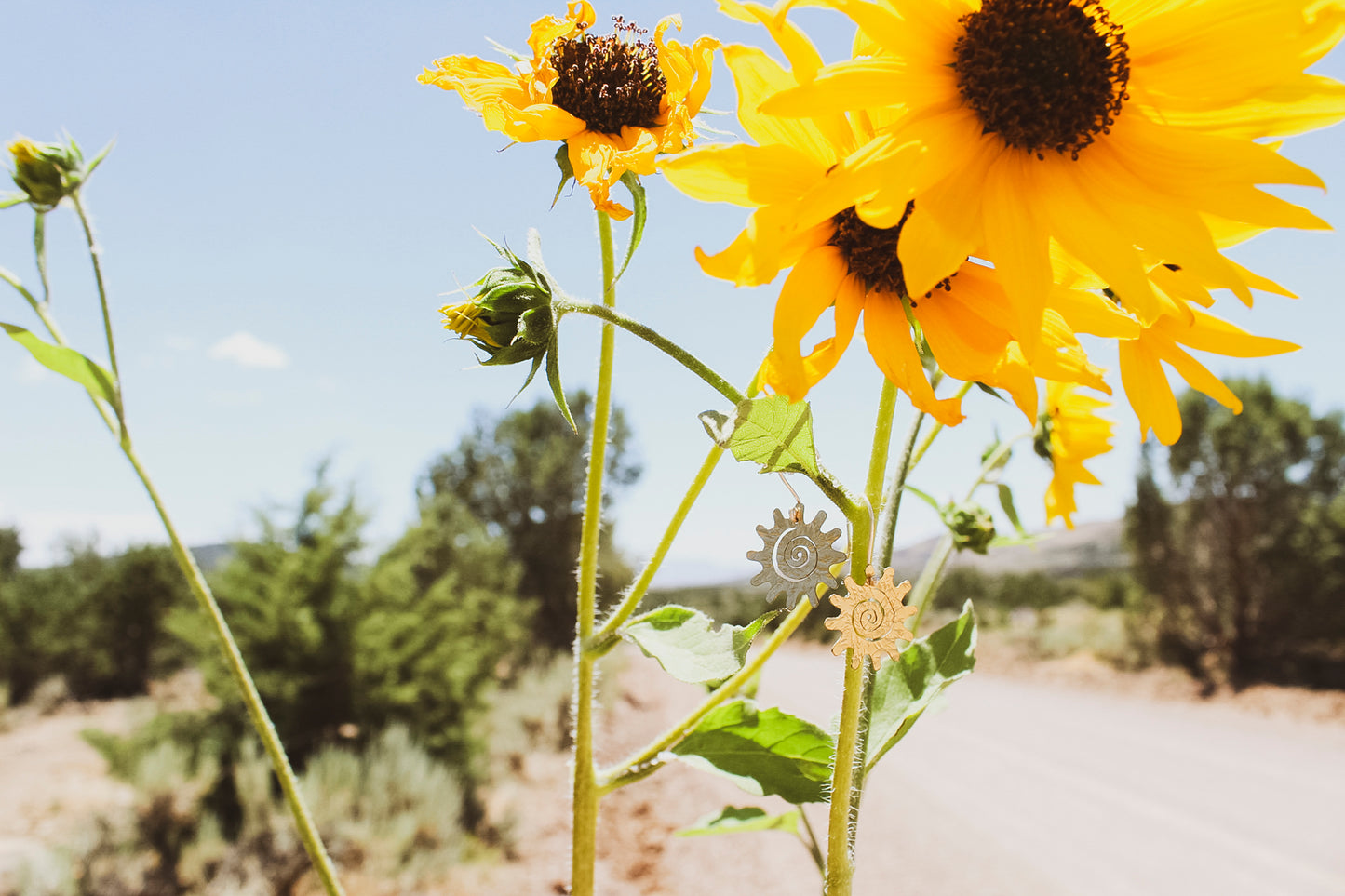 June Earring of the Month: Sunny Daze Earrings